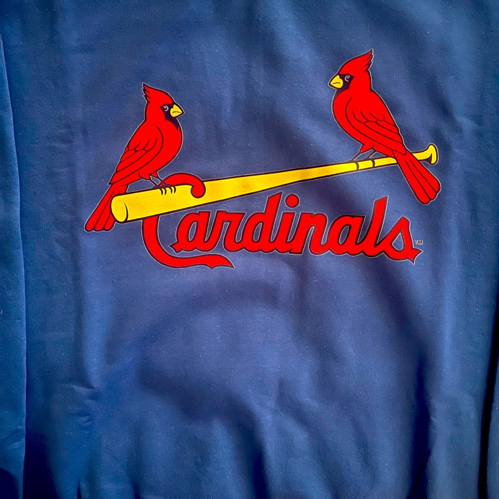 Red and Blue Bird with Crest and Thick Beak